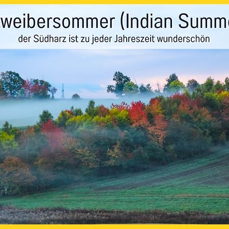 Marks Ferienwohnung In Bad Sachsa - Waldnah, Hundefreundlich, Ruhig! Ideal Fuer Paare Mit Hund Exterior foto
