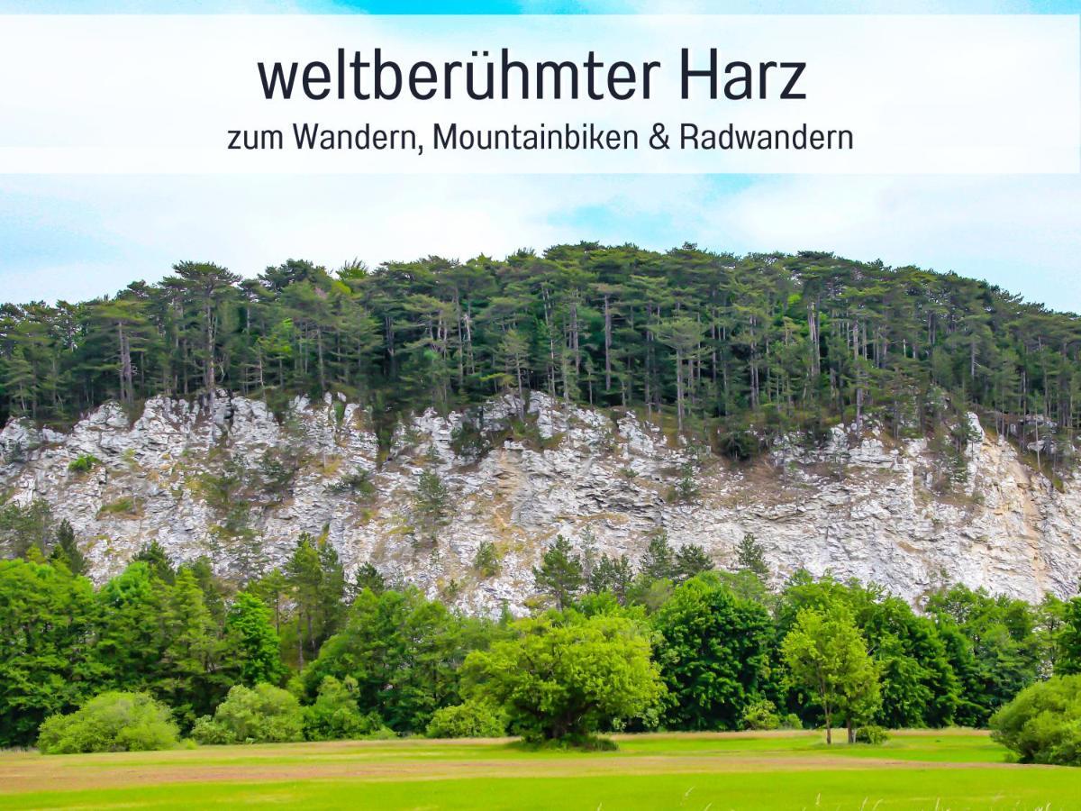 Marks Ferienwohnung In Bad Sachsa - Waldnah, Hundefreundlich, Ruhig! Ideal Fuer Paare Mit Hund Exterior foto