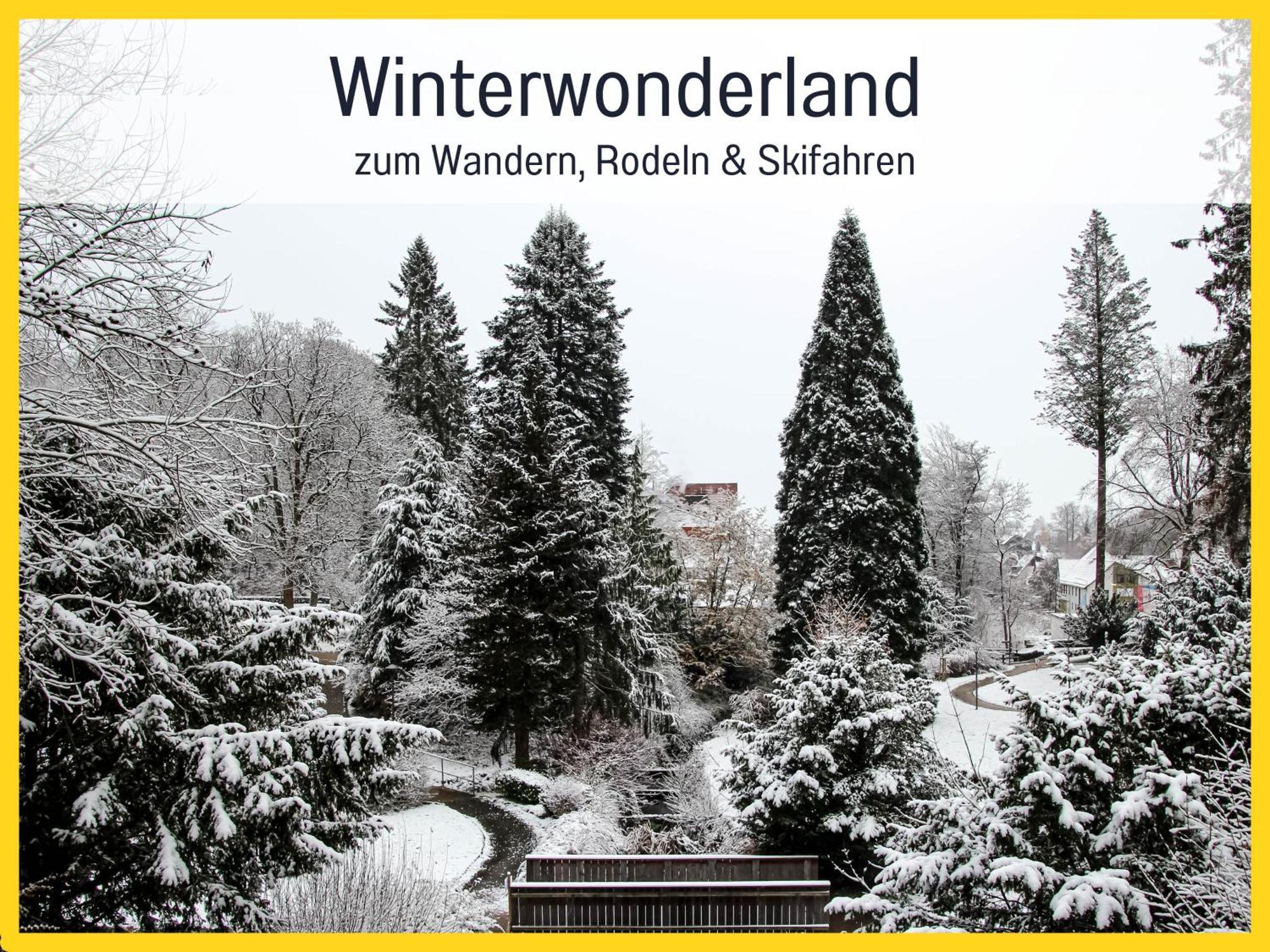 Marks Ferienwohnung In Bad Sachsa - Waldnah, Hundefreundlich, Ruhig! Ideal Fuer Paare Mit Hund Exterior foto
